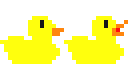 duck quacking frames