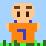 Fan of the Dutch national soccer team