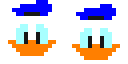 duck frames